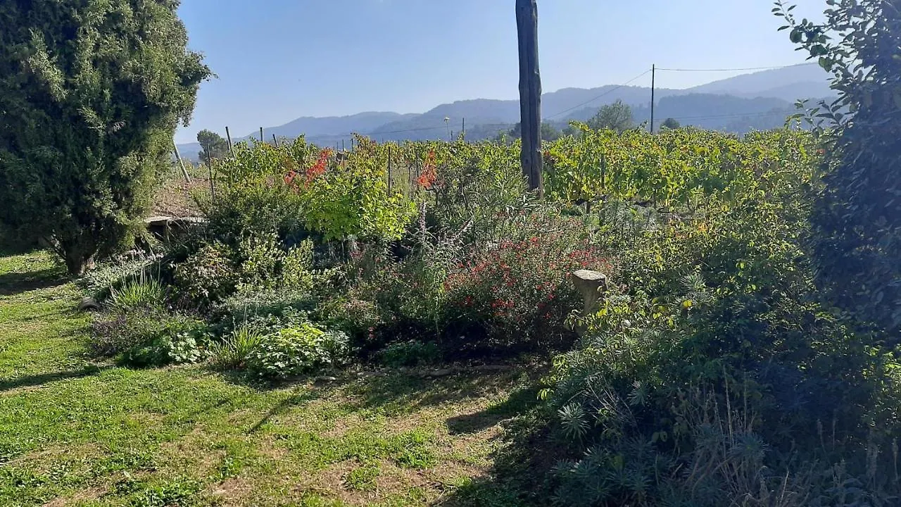 Bauernhof Villa Celler Colltor Santa Maria de Olo Spanien
